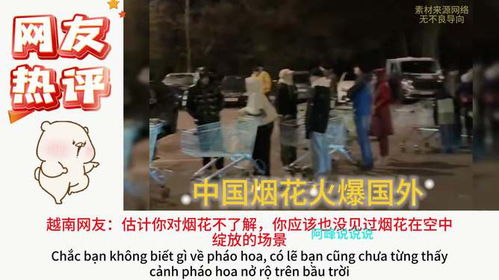德国民众排队抢购中国烟花_德国人凌晨排队