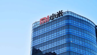 小米全球总部15元的员工餐_小米员工食堂3元吃饱，10元扶墙走，网友：够性价比，还要人吗？