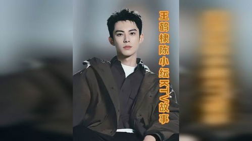 王鹤棣陈小纭大奉一个追一个逃_看王鹤棣陈小纭800个心眼子过招，笑不活了